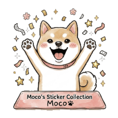 Cute Shiba Inu Moco