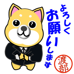 Shiba Inu Suits, With Watabe's Stamp