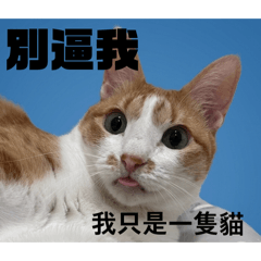 Chianggg_20260428165036