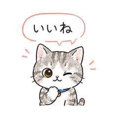 Hachan Daily Stickers