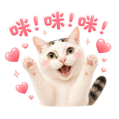 Nami納咪寶寶撒嬌怪日常