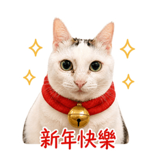 Nami納咪大頭寶寶系列