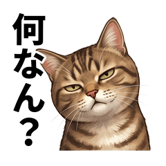 THE cat might be in a bad mood