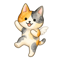 Chiko the calico cat
