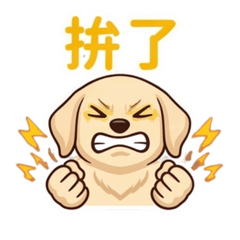 黃金亮亮：超萌小金毛的百變日常用語