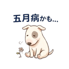 akdk_20260429012704