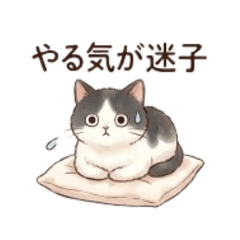 akdk_20260429013431