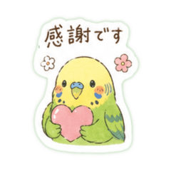 shitapita_20260429010716