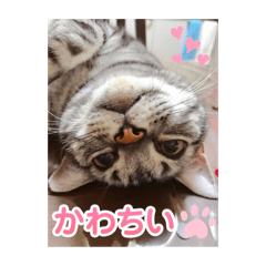 Joanne_20260429005546