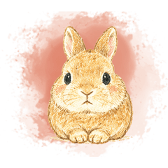 Cute Soft Bunny Daily Stickers
