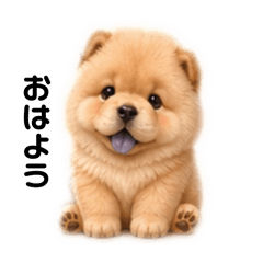 ChauTan Studio_20260429041255