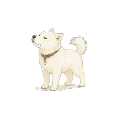 Kishu Ken Life