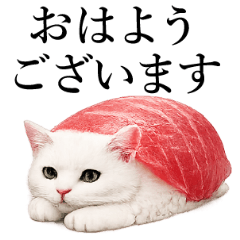 Cat sushi, bread, food, sweets