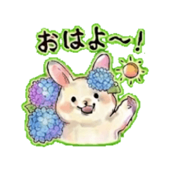 animals 4| Everyday Chat Stickers