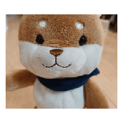 arinko_20260429094120