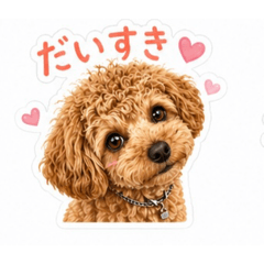momomom_20260429114130