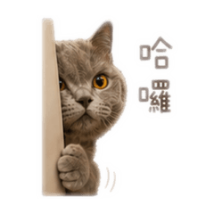 我是特v