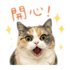 我是咪哭みく