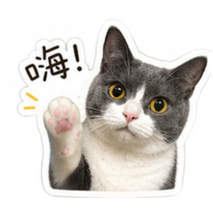 Miumiu日常用語2.0版