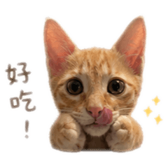 辛巴耍可愛