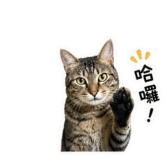 可愛寶們2