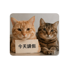 小凍小橘