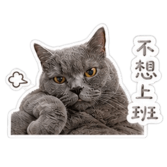 搗灰日常生活1