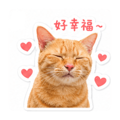 超勾錐的胖皮