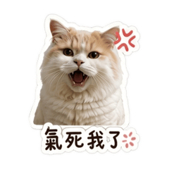 Bumi 日常生活