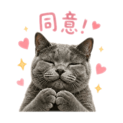 操灰搭'ᴗ'