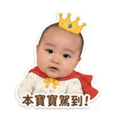 大千寶寶駕到！