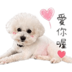 黃Q比