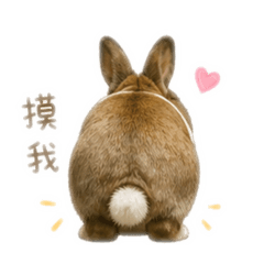 好可愛的兔兔
