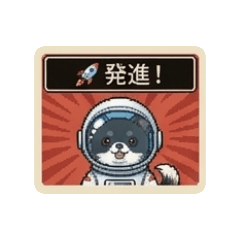 shunachiwa_20260427155943