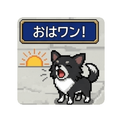 shunachiwa_20260428041457