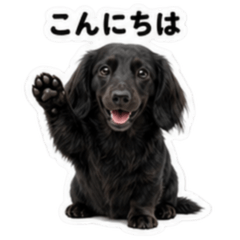 Dachshund Long Black solid