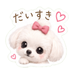 Cute Maltese Bun Hair Stickers