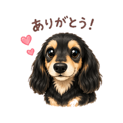 ANKO - Daily Chat Stickers Part2