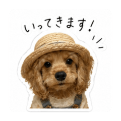 Garai_20260429094020