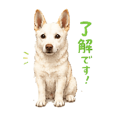 jun_20260429100322