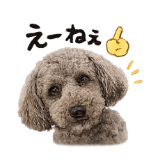 Edy_20260429100453