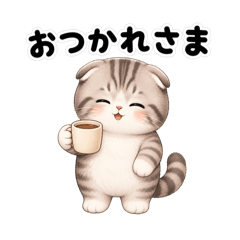 Scottish Fold Daily Feelings