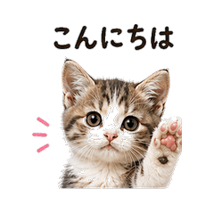 My Sweet Cat Stickers