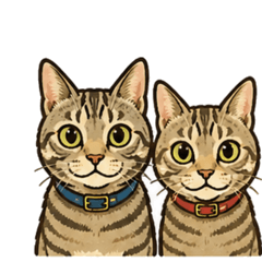 rinmomocat