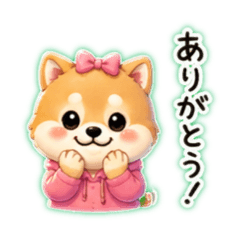 shitapita_20260429105859