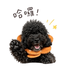 咪麓麓