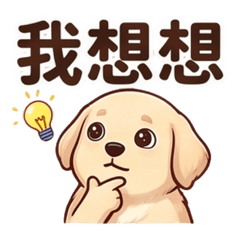 黃金亮亮：超萌幼犬的百搭實用日常