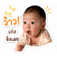 prem_20260428231203