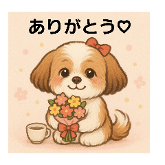 My lovely Momoko