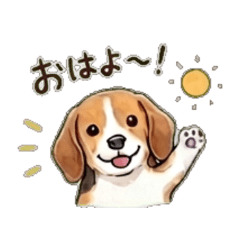 Beagle Daily Chat Stickers